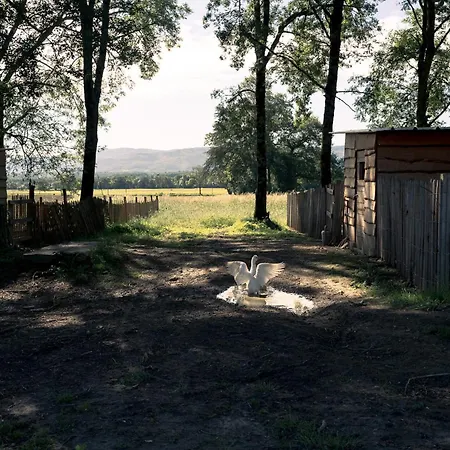 Affittacamere Chateau De La Bousquetarie 3*