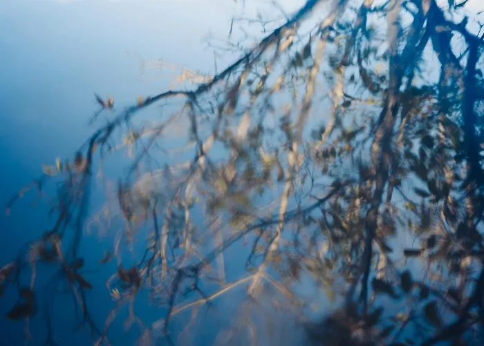 Гостевой дом Chateau De La Bousquetarie 3*