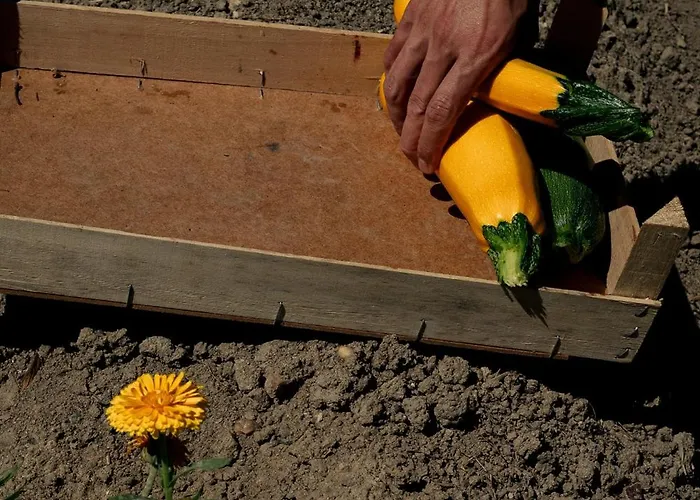 Гостевой дом Chateau De La Bousquetarie Lempaut