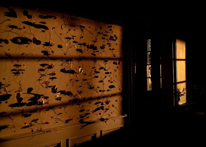 Chateau De La Bousquetarie Lempaut