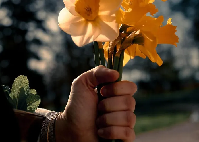 Chateau De La Bousquetarie Lempaut