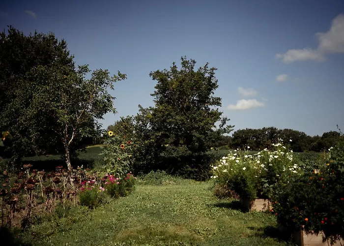 Chateau De La Bousquetarie Гостевой дом 3*