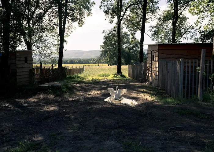 Гостевой дом Chateau De La Bousquetarie 3*