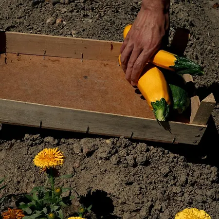 Penzion Chateau De La Bousquetarie Lempaut