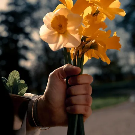 Chateau De La Bousquetarie Lempaut